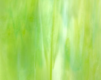Yellow Green Opalescent Wissmach Stained Glass Sheet | For DIY Crafts, Panels, Lamps & Mosaics