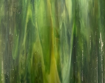 Dark Green-Amber Opalescent Wissmach Stained Glass Sheet | For DIY Crafts, Panels, Lamps & Mosaics