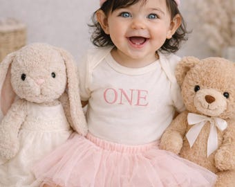First Birthday ONE Embroidered Bodysuit Pink Tutu Personalized Cake Smash Set Handmade