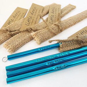 metal straw, eco friendly straw, reusable straw image 8