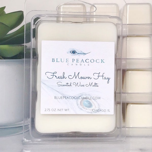 Fresh Cut Hay Candle Etsy