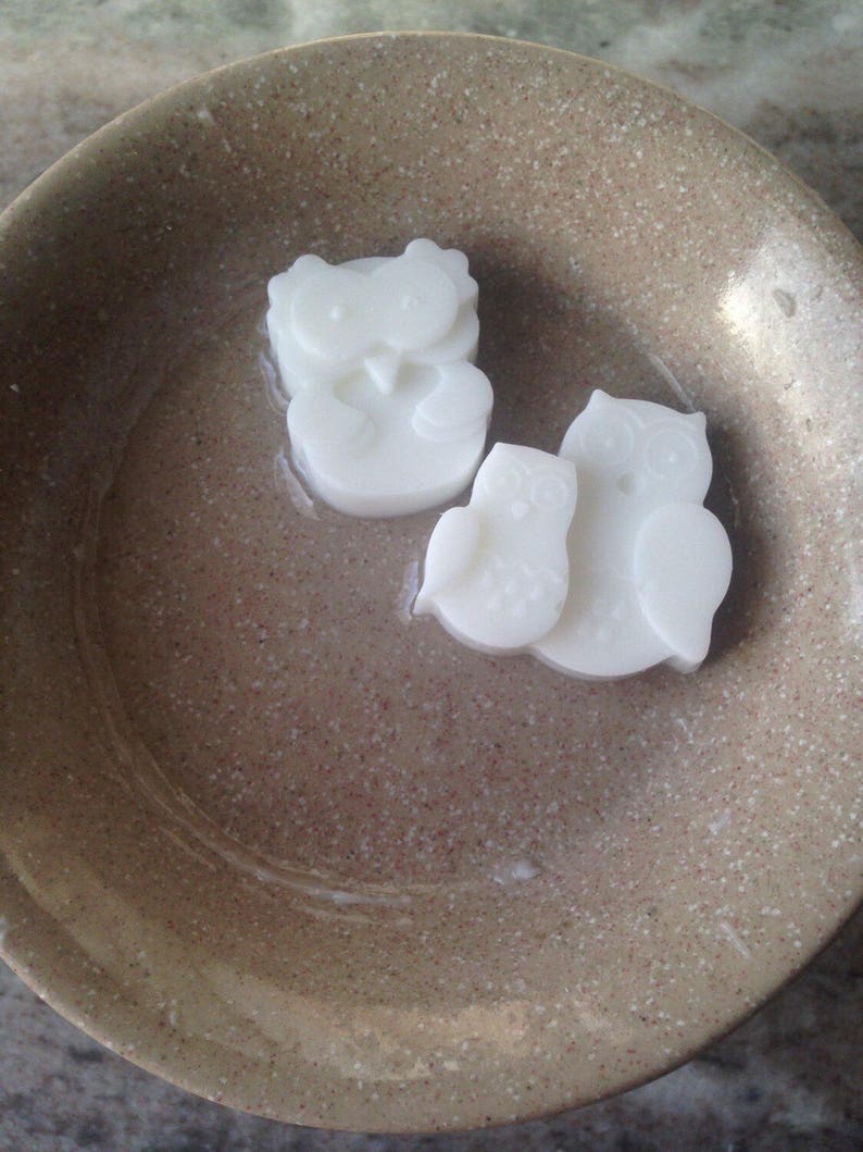 CHAMPACA /& BAMBOO Wax Melts Candle Melts Champaca Bamboo Wax Tart Gift for Mom Gift for Wife Vegan Wax Tarts Scented Wax Cubes