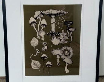 May include: A framed print of a botanical illustration featuring various mushrooms in black and white on a dark green background.