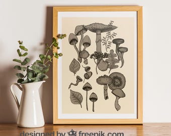 May include: A framed print of a vintage botanical illustration featuring a variety of mushrooms in black and white on a cream background. The mushrooms are drawn in detail and include different shapes and sizes.