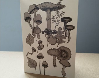 Light Forest Floor Greetings Card - Mushroom Card, Fungi, Woodland Botanical, Autumn, Fall, Illustration, Blank Mori Cottagecore