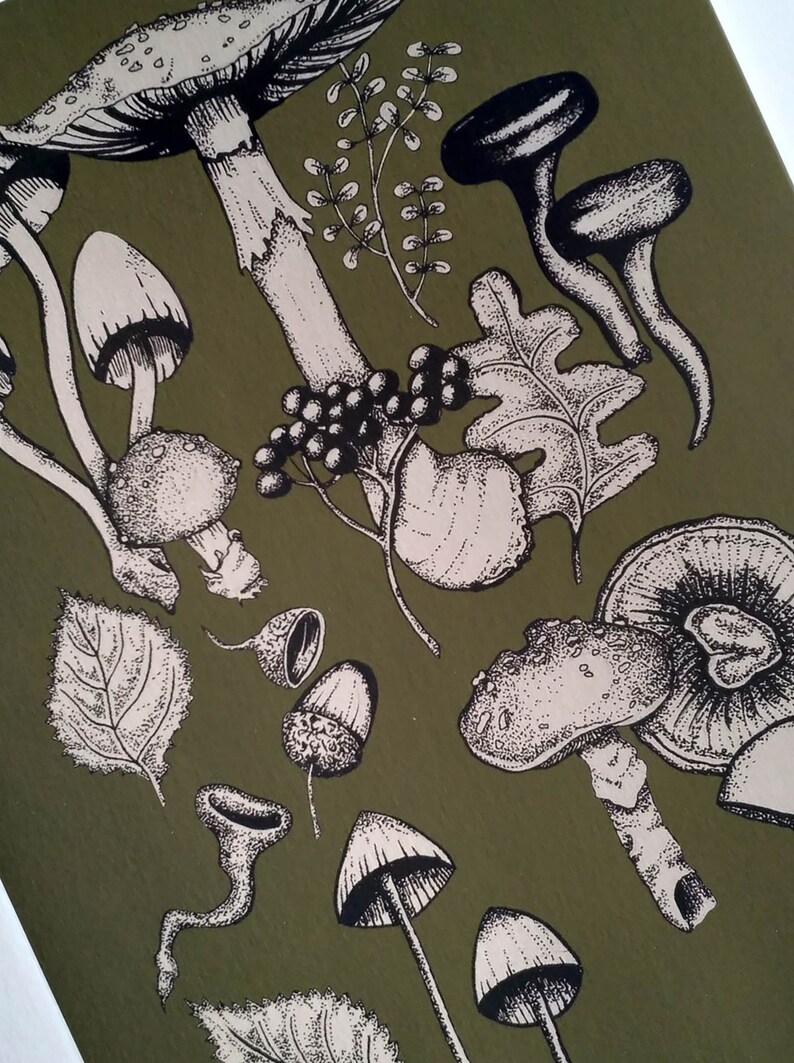 Fall Forest Floor Mushroom Wall Art Print, A4, Fungi, Woodland, Botanical, gift, Illustration, apothecary, Cottagecore image 3