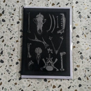 May include: A black and white card with a graphic of various animal bones, including a skull, ribs, and a deer antler.
