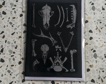 May include: A black and white card with a graphic of various animal bones, including a skull, ribs, and a deer antler.