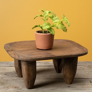 May include: A small, light green leafy plant potted in a terracotta-colored clay container, resting on a low, dark brown wooden stool with four thick, tapered legs and a smooth, rounded square top surface.