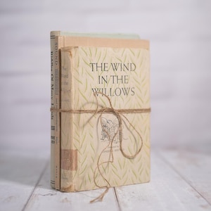 May include: A stack of vintage books tied with twine. The front book, "The Wind in the Willows," features a green leaf pattern and the title in large, bold letters. The other books have light-colored covers. The books are on a white wooden surface.