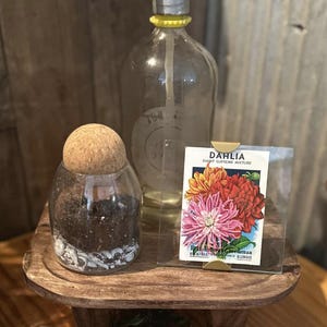 Op de afbeelding: Een heldere glazen fles met een gele dop en een vintage sodasifon. Een kleine glazen pot met een kurk en aarde. Een pakje Dahlia zaden met een kleurrijke bloemenillustratie staat op een houten dienblad.