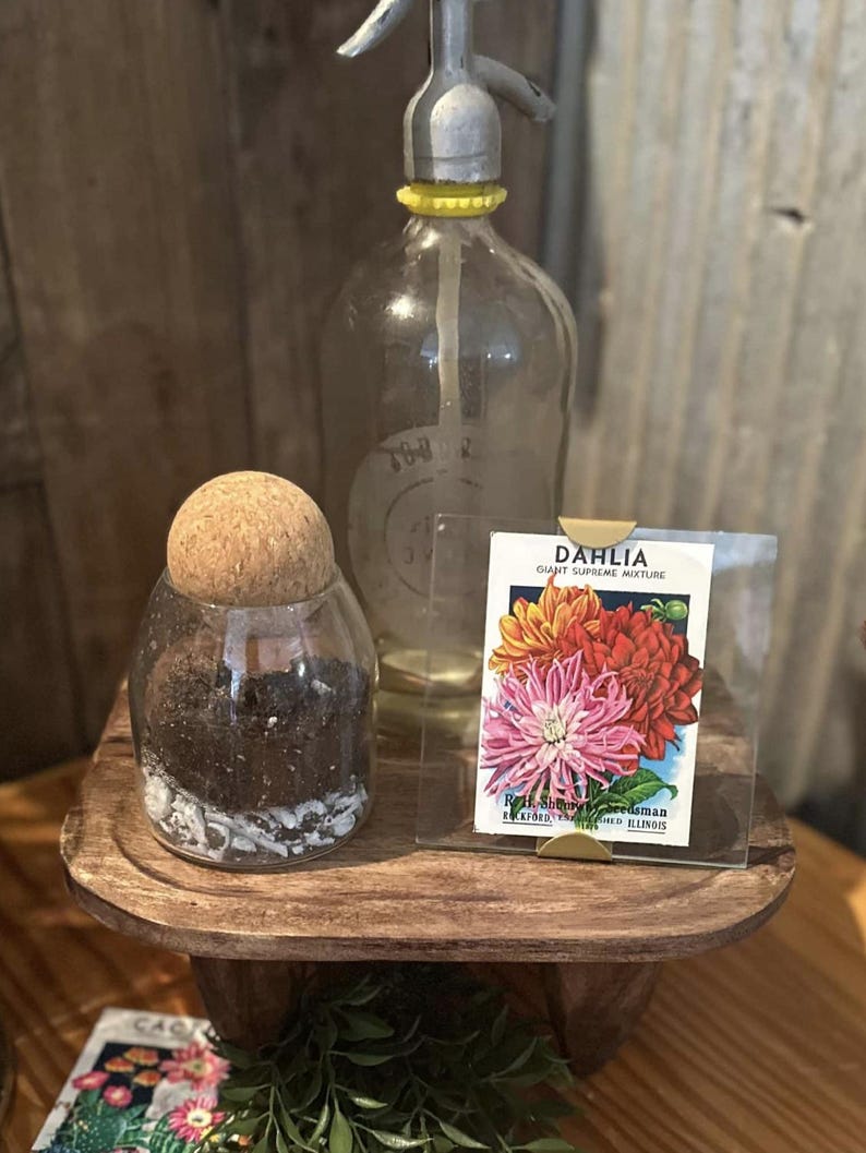 Op de afbeelding: Een heldere glazen fles met een gele dop en een vintage sodasifon. Een kleine glazen pot met een kurk en aarde. Een pakje Dahlia zaden met een kleurrijke bloemenillustratie staat op een houten dienblad.