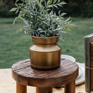 Puede incluir: Un jarr&oacute;n de metal dorado con una planta verde y frondosa, colocado sobre un peque&ntilde;o taburete redondo de madera con tres patas. El taburete tiene un aspecto r&uacute;stico y desgastado. El fondo est&aacute; borroso, sugiriendo un entorno al aire libre. El jarr&oacute;n mide unos 15 cm de alto.
