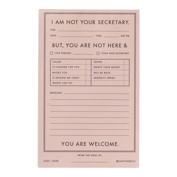 Funny Notepad - Not your Secretary, office humor gift, coworker stationery, message pad, desk, to-do list notepad