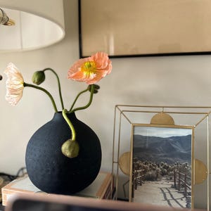May include: A black, textured vase holding peach-colored poppies with green stems and buds. A gold-colored framed picture of a mountain landscape is to the right of the vase. The vase is sitting on top of a stack of books.