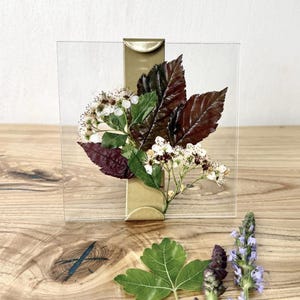 Op de afbeelding: Een heldere acryl fotolijst met een goudkleurige metalen clip, met een display van gedroogde bloemen en bladeren. De opstelling bevat donkerrode bladeren, groene bladeren en witte bloemen. Extra losse bladeren en bloemen liggen op het houten oppervlak.