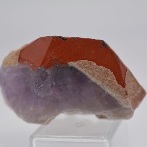 Auralite 23 Royal Collection Rot / Dusty Tip Crystal Point! Seltener energiereicher Stein! A+++ Kanada! Metaphysisch! Authentisch! Höhle der Wunder!