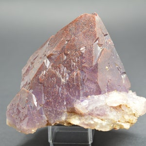 Auralite 23 Rekord Keeper einzigartige Kristallpunkt! Seltene High Energy Stein! A+++ Kanada REDISCOVERED FIND 2017 Authentisch! Metaphysischen!