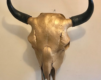 Bison Skull - Real Bone - Gold Finish