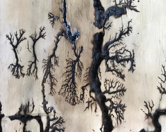 High Voltage Wood Burn, Lichtenberg Figure, Lichtenberg Wood Burn