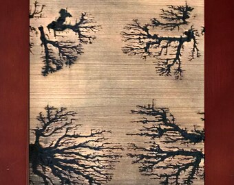 Hochspannung Holz Verbrennen Lichtenberg Figur Lichtenberg Etsy