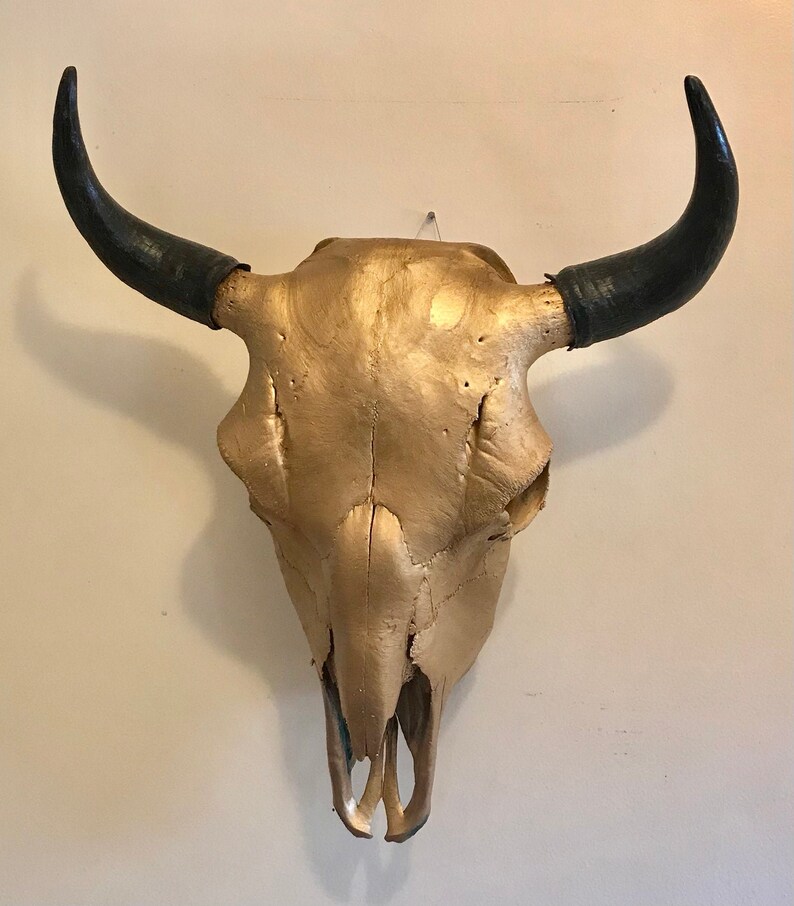 Bison Skull Real Bone Gold Finish image 1