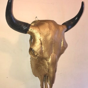 Bison Skull Real Bone Gold Finish image 2