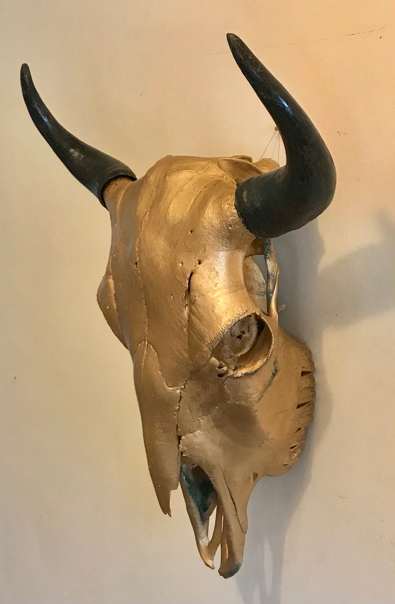 Bison Skull Real Bone Gold Finish image 4