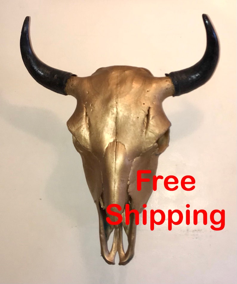 Bison Skull Real Bone Gold Finish image 3