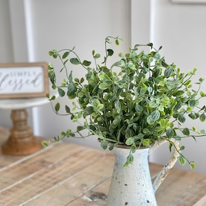 May include: A white ceramic pitcher with a distressed finish and a handle, filled with a green leafy plant. The pitcher is sitting on a light brown wooden table.
