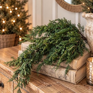 May include: A cluster of dark green cedar branches with textured, needle-like foliage draped over two stacked, weathered, off-white vintage books with visible spine details and aged paper edges, creating a layered botanical arrangement.