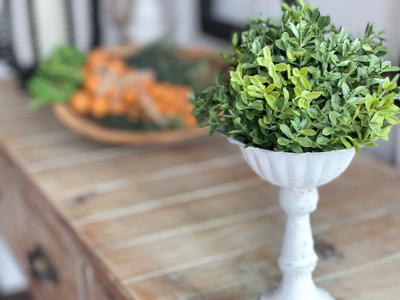 May include: A white ceramic pedestal with a fluted bowl holds a small green bush. The bush is made of artificial greenery and is a decorative accent.