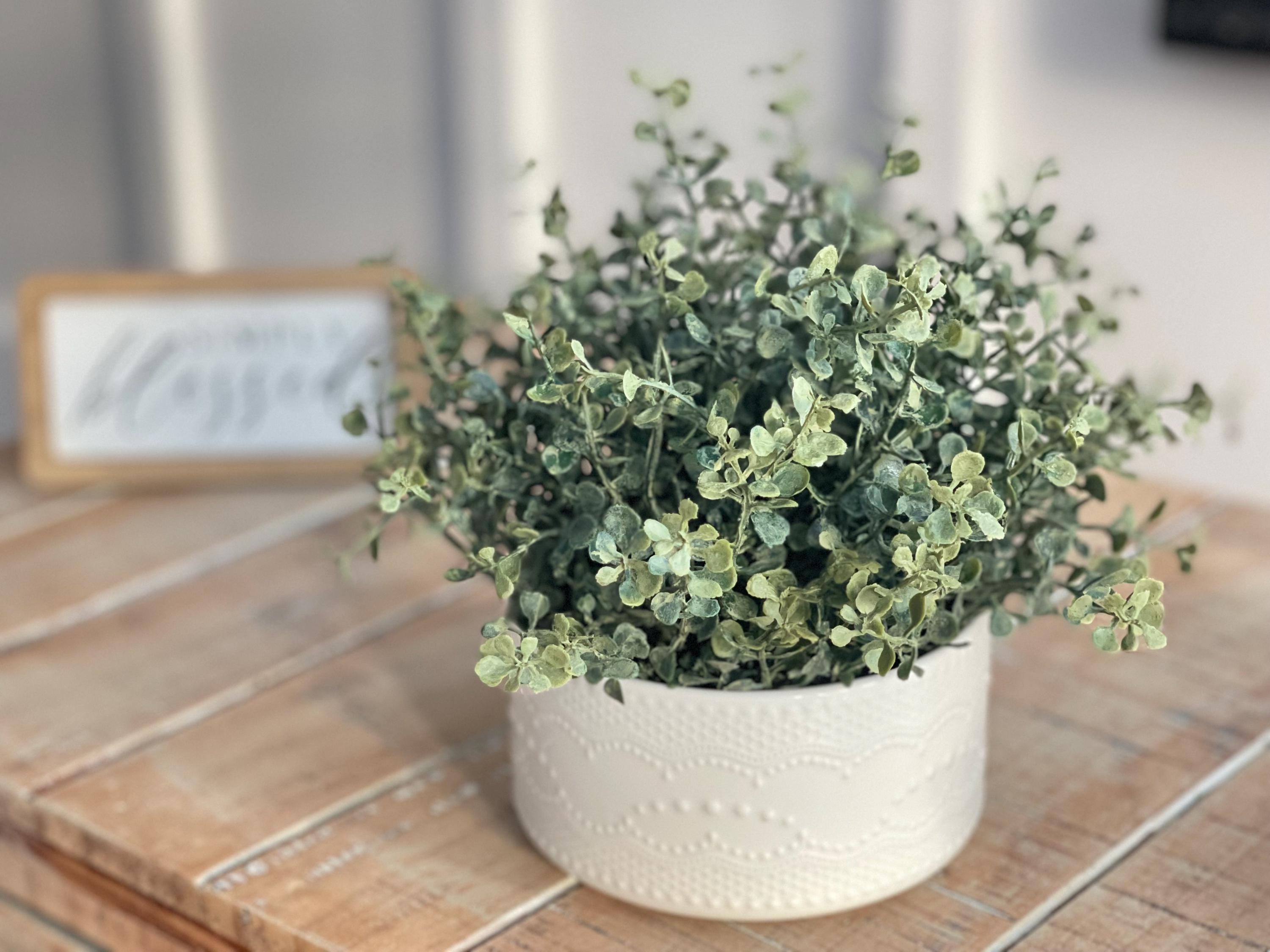 Bowl Filler , Greenery 1/2 Sphere Farmhouse/french Country Style,ash ...