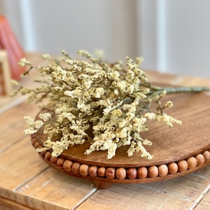 Fall neutral stems,  fall decorative stem, container filler, autumn crafts, fall decoration, cream astilbe flowers clusters
