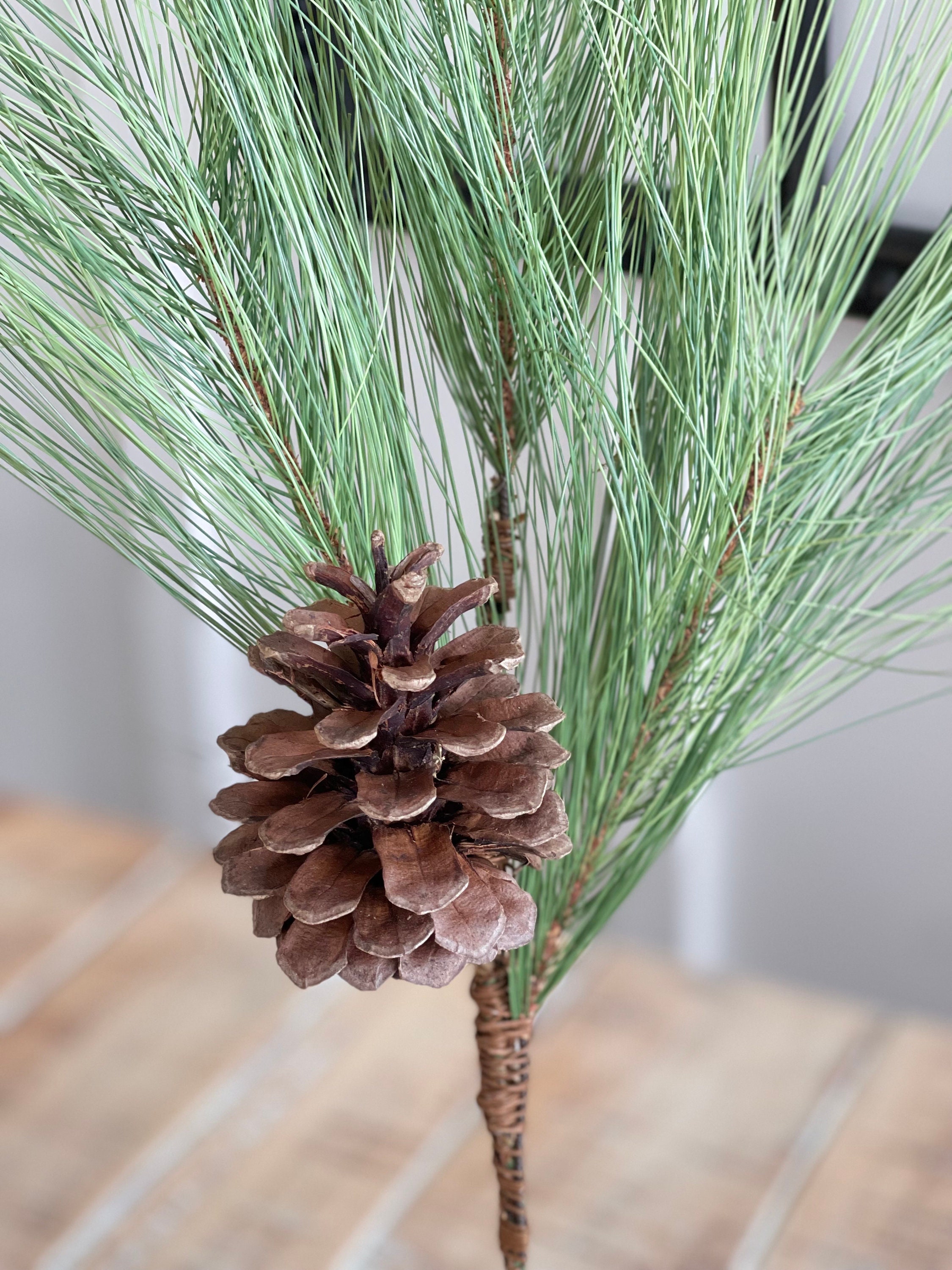 12 Long Needle Pine Half Sphere With Cones! Perfect For Christmas