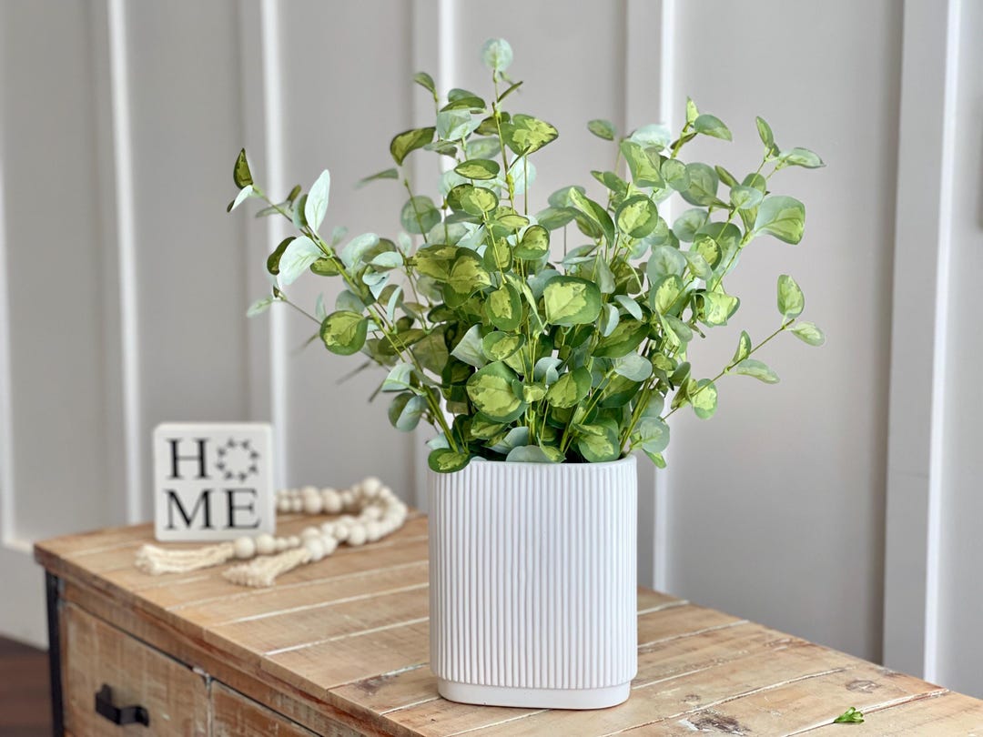 Everday Farmhouse Greenery, 20 Inch Round Leaf Eucalyptus Greenery Stem ...