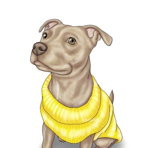 DIGITAL DOWNLOAD Cartoon Pet Portrait, Digital Pet Portrait, Pet Cartoon drawing,  Dog Art, Cat Art, digital cartoon, custom pet portrait,