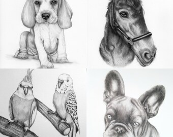 A1 Black & White Pet Portrait, Hand drawn picture, hand drawn pet portrait, pencil drawing, custom portrait, custom pet portrait, Custom Art