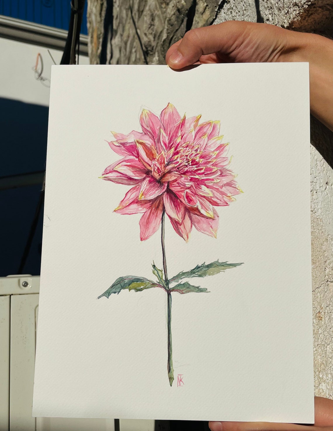 Original Dahlia Flower Watercolor Painting Floral Watercolor Etsy