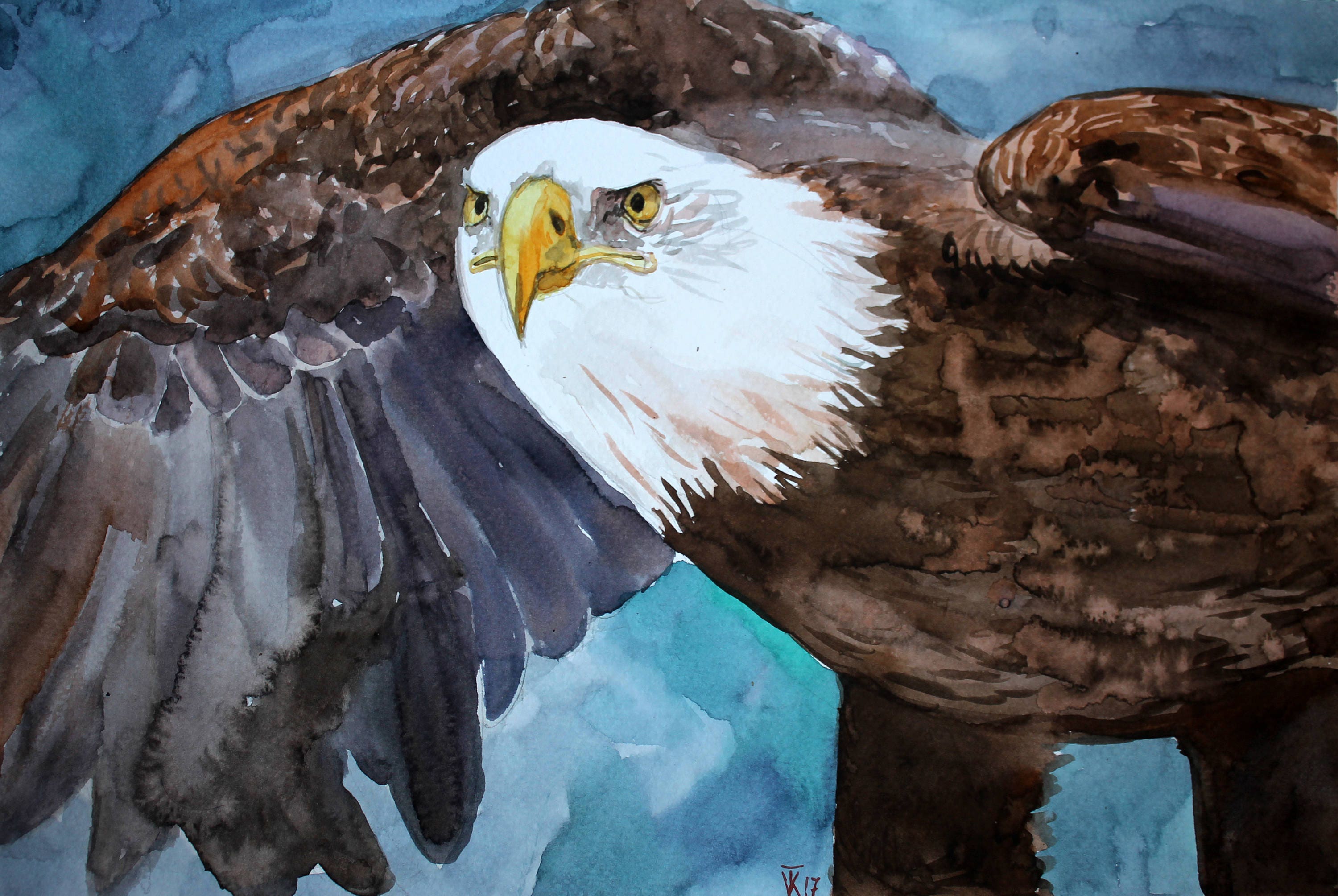 Bald Eagle painting Original watercolor artwork Eagle art Bird Etsy