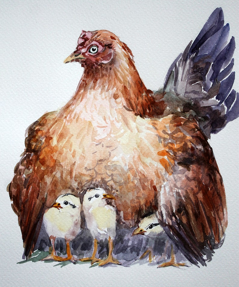Hen home decor Nursey art wall Chicken watercolor decor Etsy