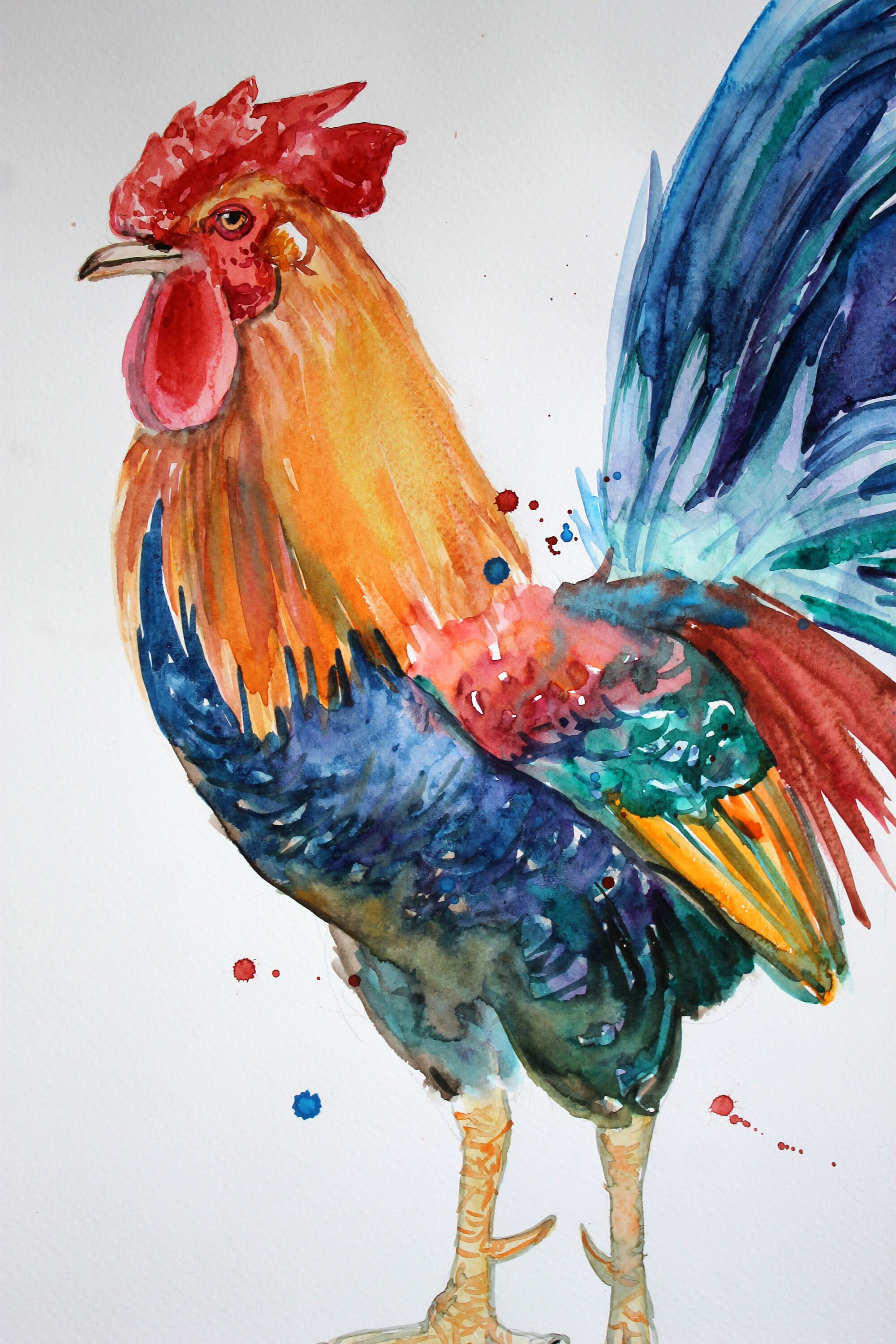 Gallo azul rojo original acuarela pintura ilustración Etsy