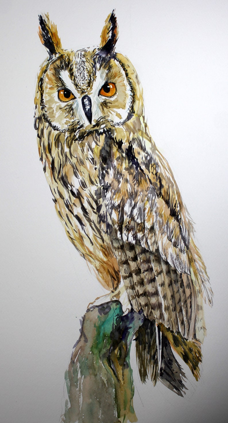Owl watercolor painting Animal Original wall decor Woodland Etsy