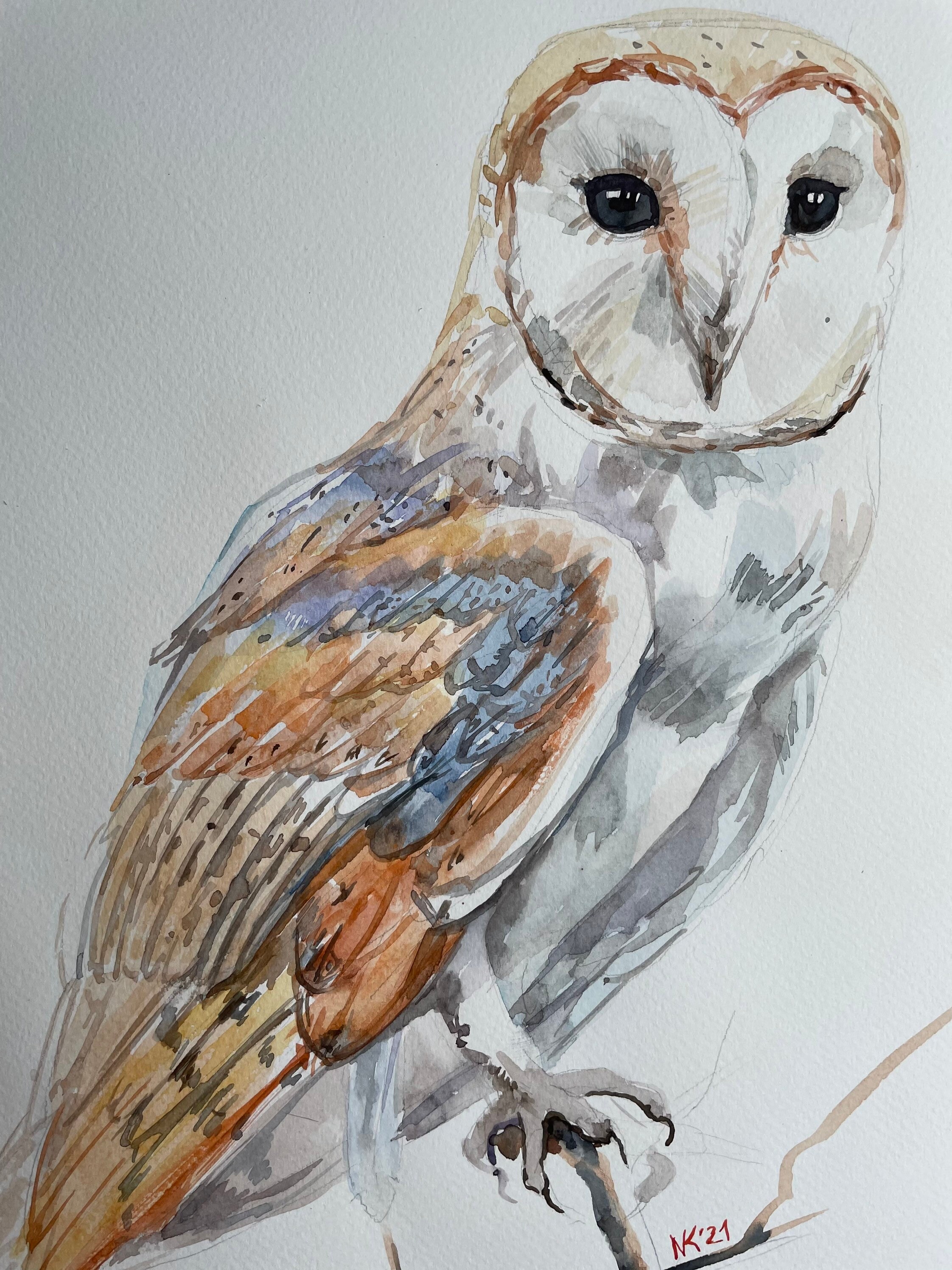 Original Vogel Kunst Scheune Eule Aquarell Malerei Original | Etsy