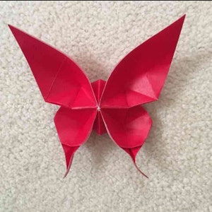 12 Origami Butterflies image 4