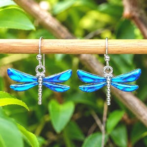 Boucles d'oreilles coquillages libellule bleue et ormeau, bijoux nature insectes - Choisissez votre fil d'oreille