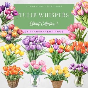 Aquarell Tulpe Clipart, Blumenillustrationen für den Frühling, Frühlingsblumen Clipart, 21 transparente PNGS, Frühling Clipart, kommerzielle Nutzung
