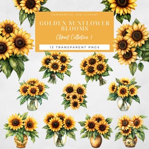Sunflower Clipart, Watercolor Sunflower Bouquet, Floral PNG Digital Download, 13 Transparent High Quality PNGs, Commercial Use
