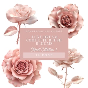 Kokette Blush rosa Rosen, 14 TRANSPARENTE PNGs, weiche rosa Rose Clipart, feminine Blumen für Branding, Hochzeitspapeterie, kommerzielle Nutzung