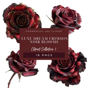 Luxe Dream Crimson Noir Blooms – 18 PNG TRASPARENTI / Clipart di rose rosso scuro / PNG floreali gotici per matrimoni, branding e cancelleria
